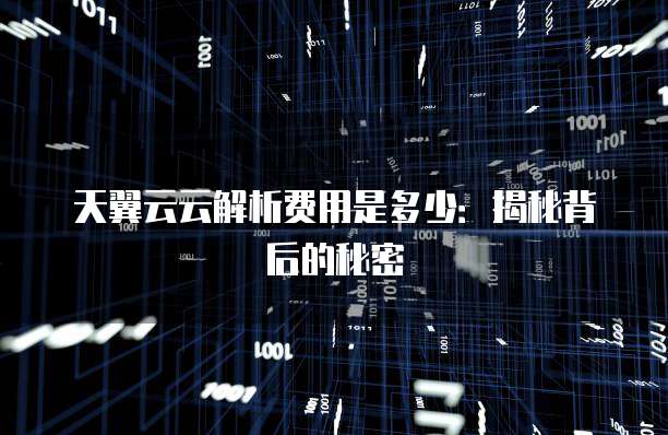 天翼云云解析费用是多少：揭秘背后的秘密