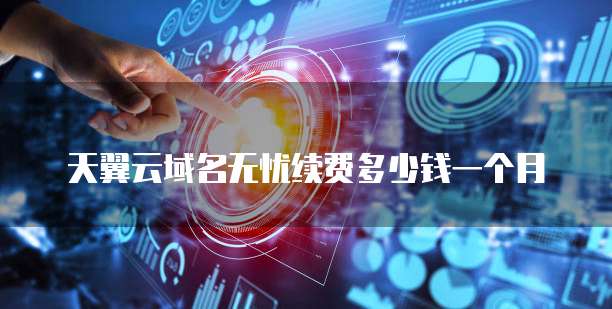 天翼云域名无忧续费多少钱一个月
