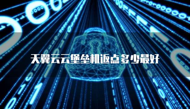 天翼云云堡垒机返点多少最好