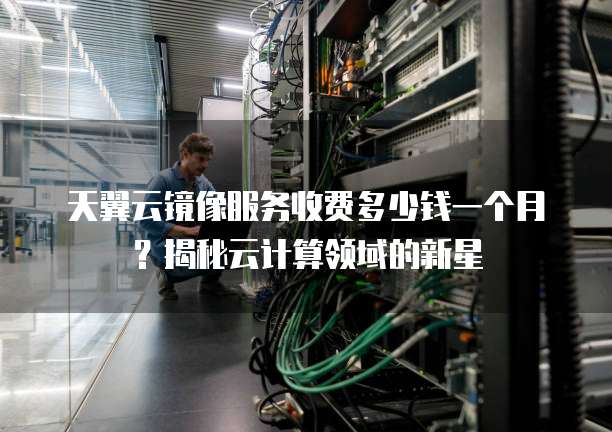 天翼云镜像服务收费多少钱一个月?揭秘云计算领域的新星