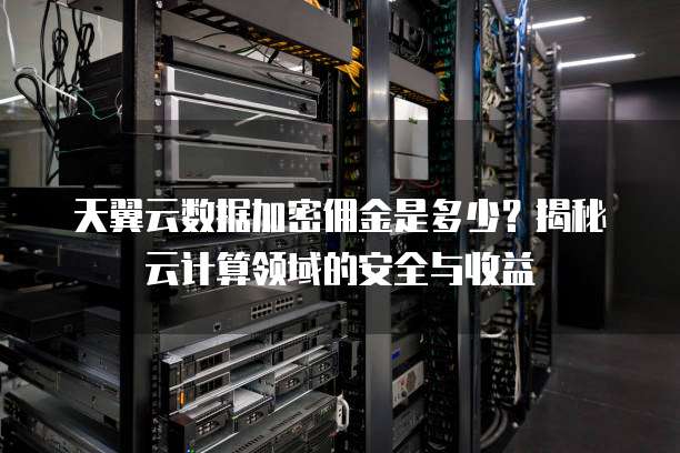 天翼云数据加密佣金是多少?揭秘云计算领域的安全与收益