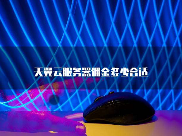 天翼云服务器佣金多少合适