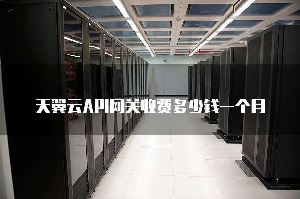 天翼云API网关收费多少钱一个月