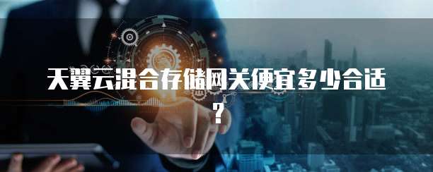天翼云混合存储网关便宜多少合适?