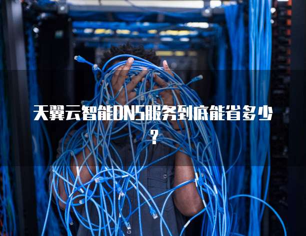 天翼云智能DNS服务到底能省多少?