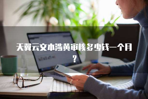 天翼云文本涉黄审核多少钱一个月?