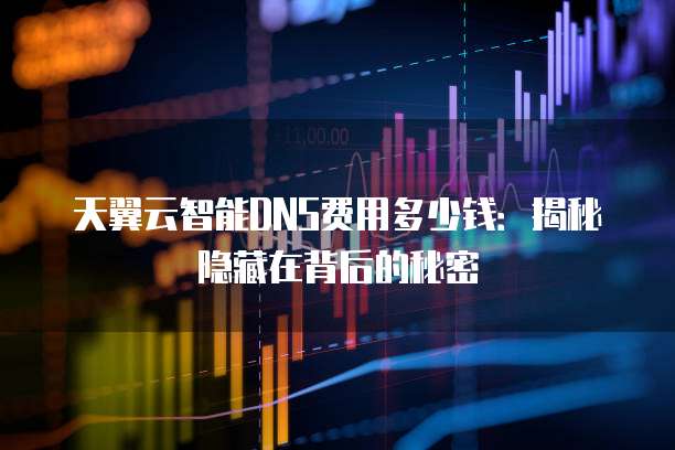 天翼云智能DNS费用多少钱：揭秘隐藏在背后的秘密