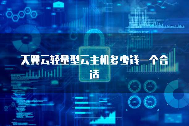 天翼云轻量型云主机多少钱一个合适
