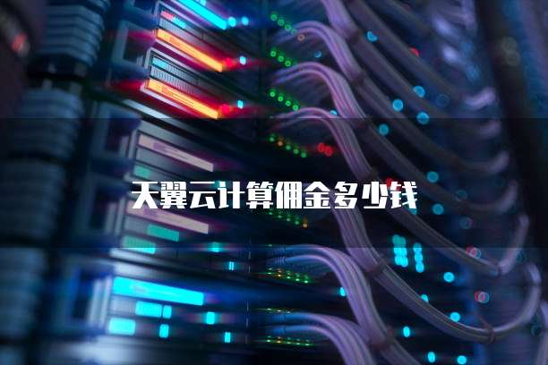 天翼云计算佣金多少钱
