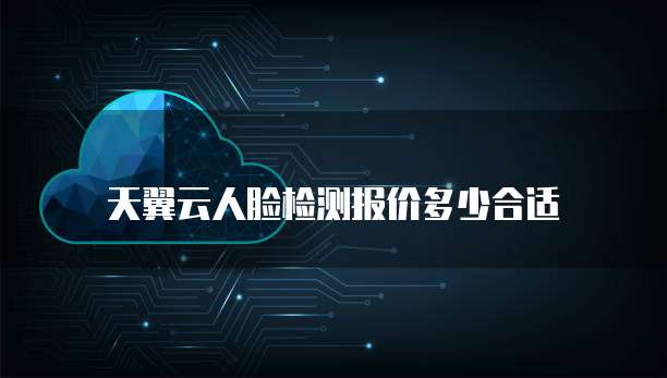 天翼云人脸检测报价多少合适