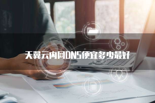 天翼云内网DNS便宜多少最好