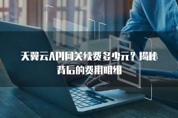 天翼云API网关续费多少元?揭秘背后的费用明细