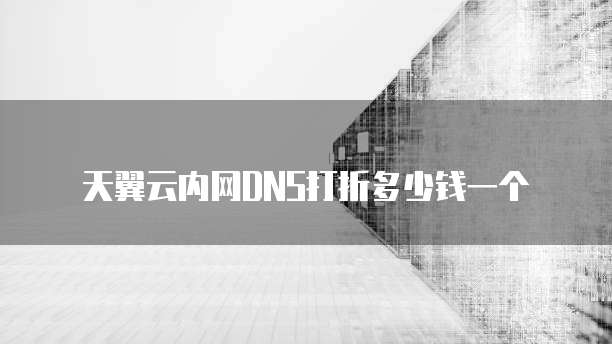 天翼云内网DNS打折多少钱一个