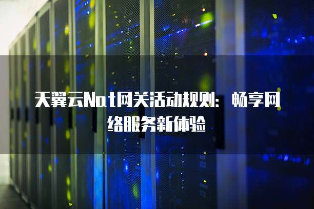 天翼云Nat网关活动规则:畅享网络服务新体验