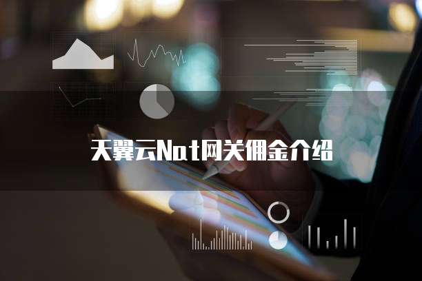 天翼云Nat网关佣金介绍