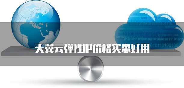 天翼云弹性IP价格实惠好用
