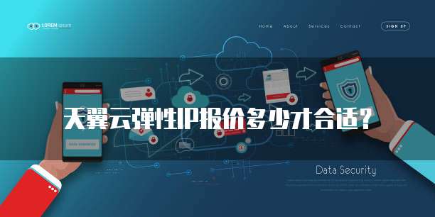 天翼云弹性IP报价多少才合适?