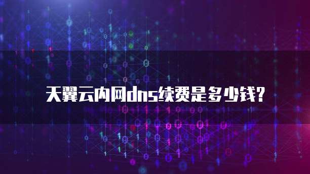 天翼云内网dns续费是多少钱?