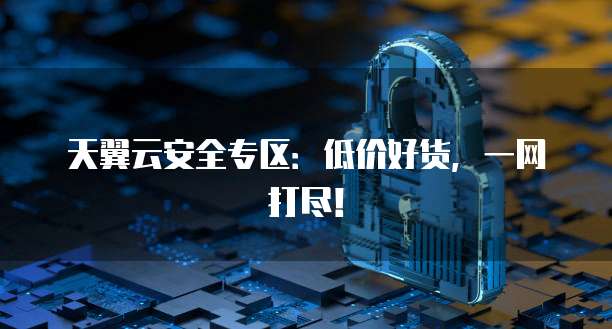 天翼云安全专区:低价好货,一网打尽!