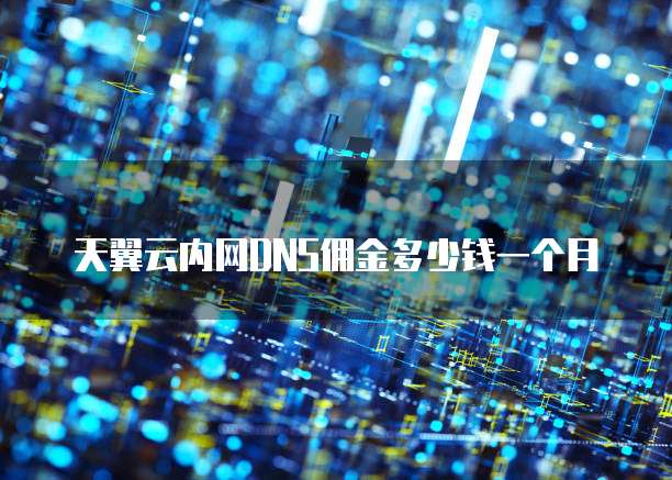 天翼云内网DNS佣金多少钱一个月