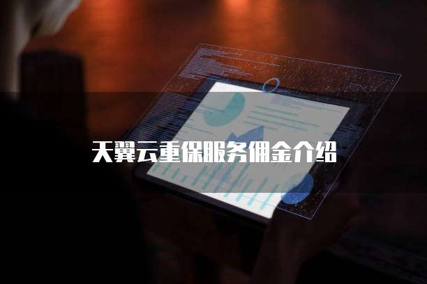 天翼云重保服务佣金介绍