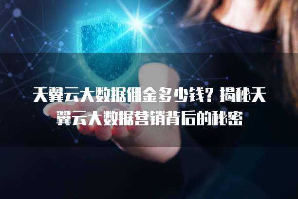 天翼云大数据佣金多少钱？揭秘天翼云大数据营销背后的秘密