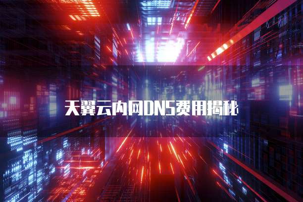 天翼云内网DNS费用揭秘