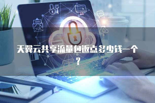 天翼云共享流量包返点多少钱一个？