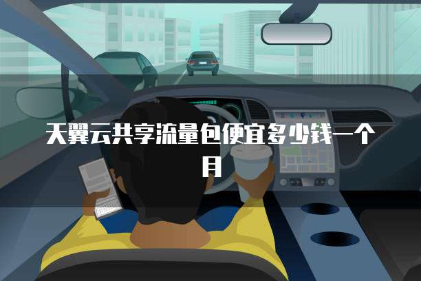 天翼云共享流量包便宜多少钱一个月