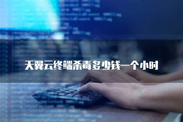 天翼云终端杀毒多少钱一个小时