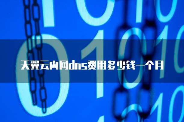 天翼云内网dns费用多少钱一个月
