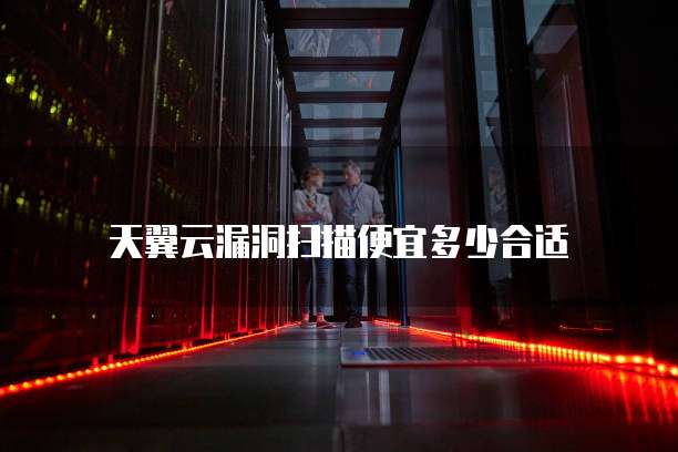 天翼云漏洞扫描便宜多少合适
