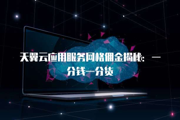 天翼云应用服务网格佣金揭秘:一分钱一分货