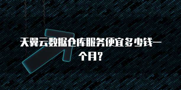 天翼云数据仓库服务便宜多少钱一个月？