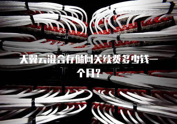 天翼云混合存储网关续费多少钱一个月？