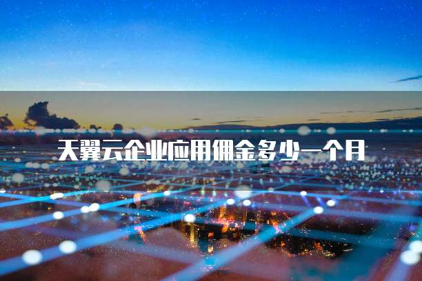 天翼云企业应用佣金多少一个月