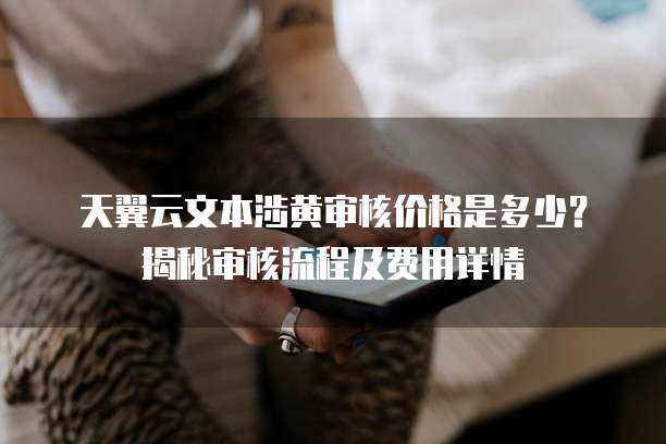 天翼云文本涉黄审核价格是多少?揭秘审核流程及费用详情