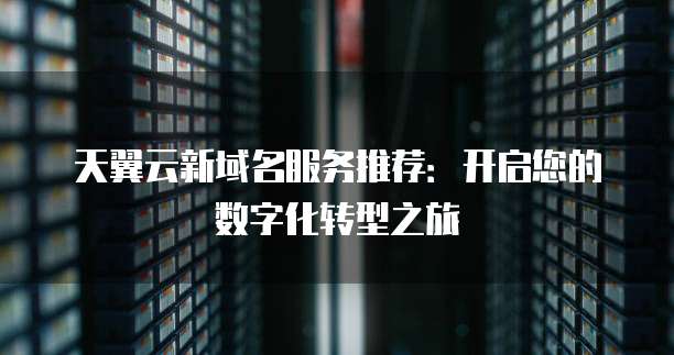 天翼云新域名服务推荐：开启您的数字化转型之旅