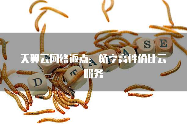 天翼云网络返点:畅享高性价比云服务