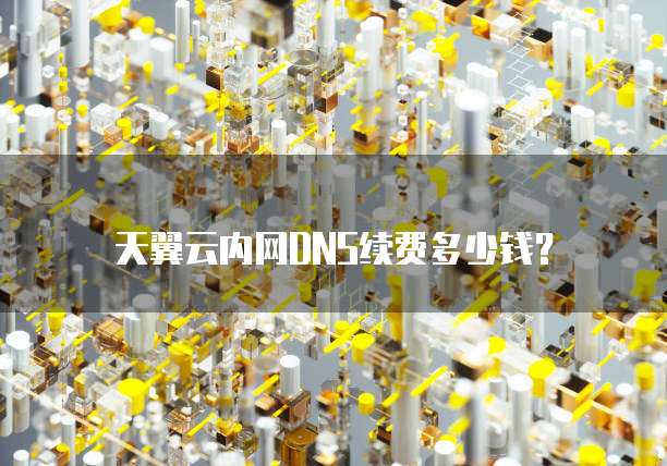 天翼云内网DNS续费多少钱？