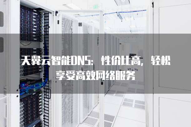 天翼云智能DNS:性价比高,轻松享受高效网络服务