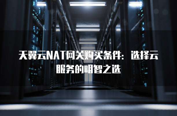 天翼云NAT网关购买条件:选择云服务的明智之选