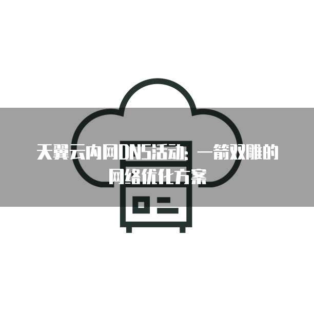 天翼云内网DNS活动: 一箭双雕的网络优化方案