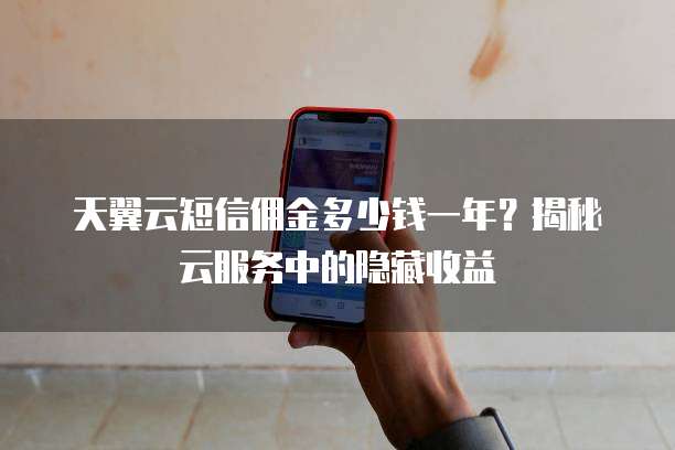 天翼云短信佣金多少钱一年?揭秘云服务中的隐藏收益