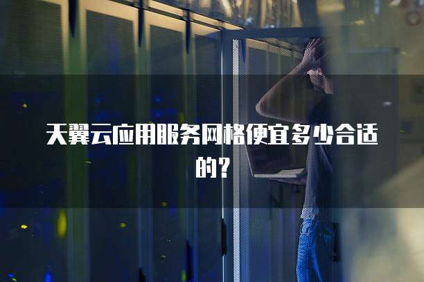 天翼云应用服务网格便宜多少合适的？
