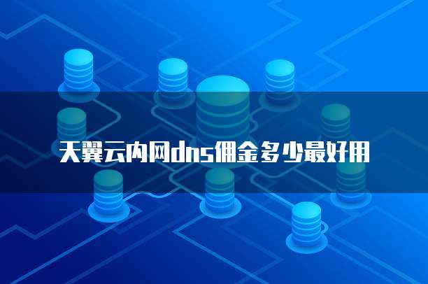 天翼云内网dns佣金多少最好用