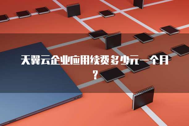 天翼云企业应用续费多少元一个月?