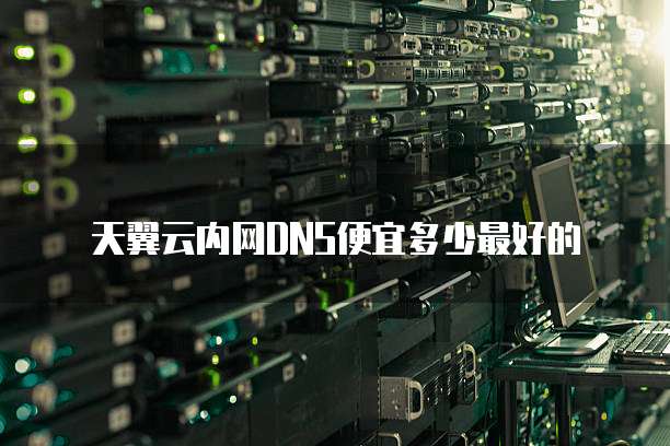 天翼云内网DNS便宜多少最好的