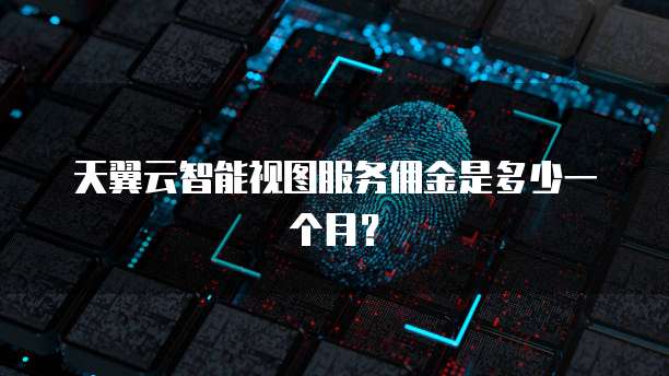 天翼云智能视图服务佣金是多少一个月?