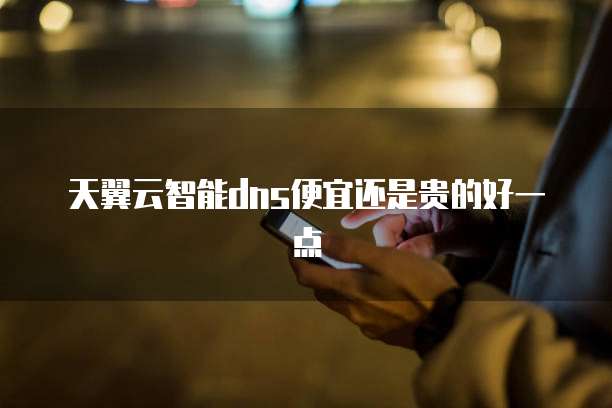 天翼云智能dns便宜还是贵的好一点